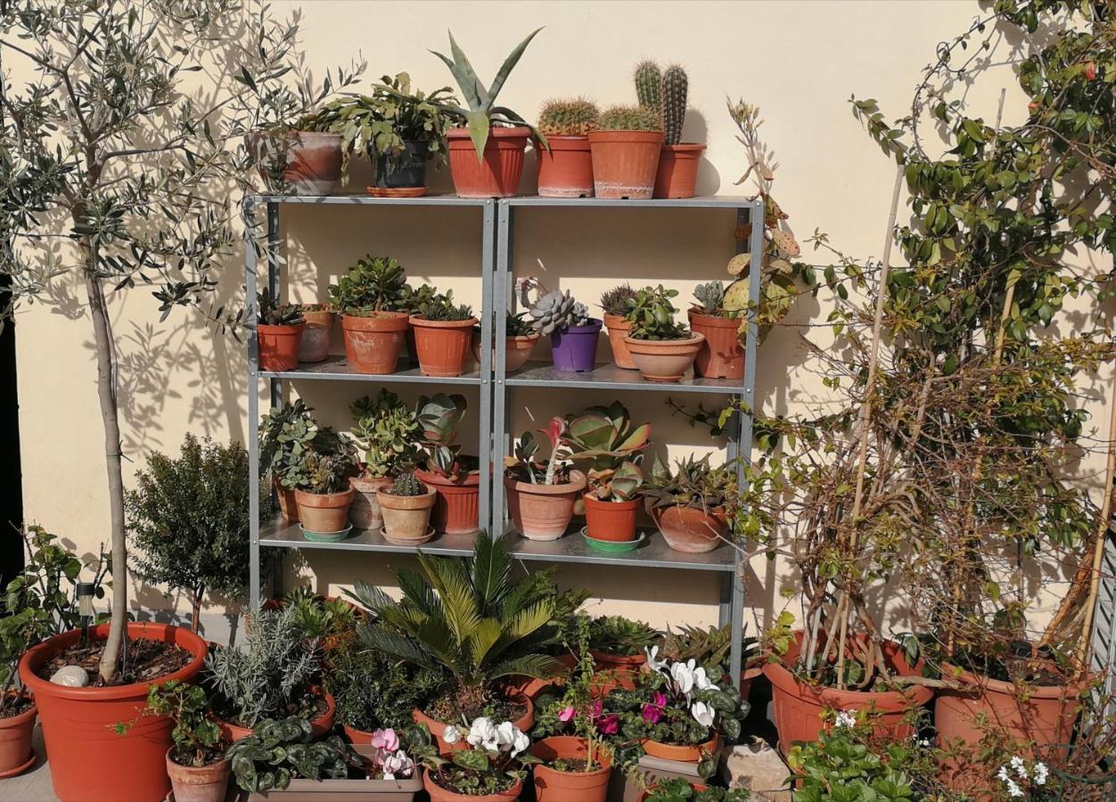 Casa Di Eli * Rom